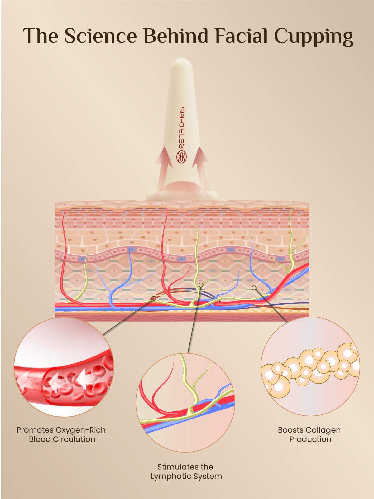 Rena Chris Ventouse Visage & Outil Gua Sha - Set de Ventouses en Silicone & Pierre Gua Sha en Quartz Rose, Soin Naturel, Réduit Gonflements, Repulpe les Lèvres (Rose)